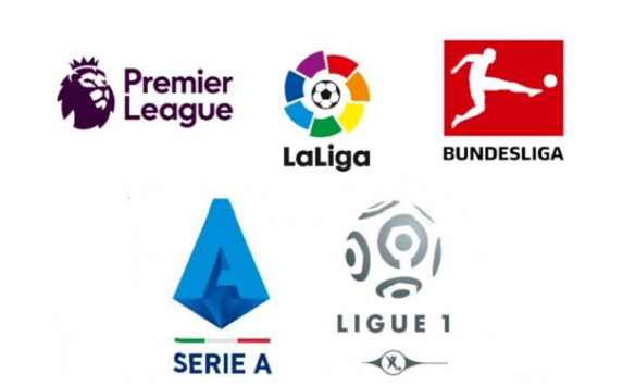 尽管球队在 尽管球队在