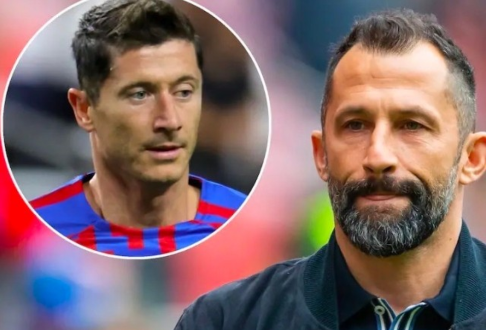 斯尔参加即 斯尔参加即