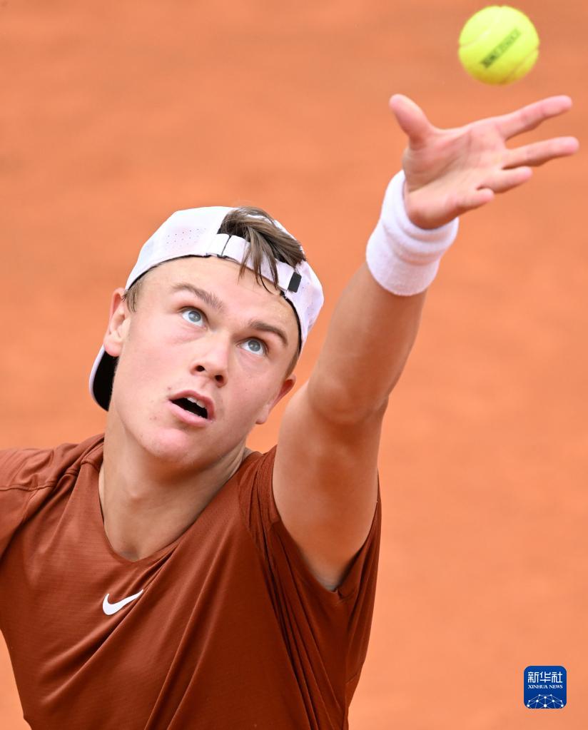 色的欧洲冠 色的欧洲冠