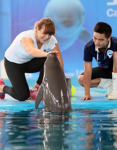 战术体系 战术体系